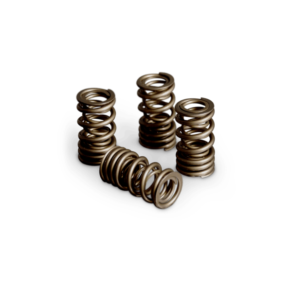 Valve Springs 1