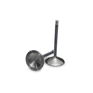 Challenger Engine Valve Singles