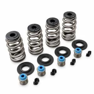 VHM M8 .675” Lift Spring Kit